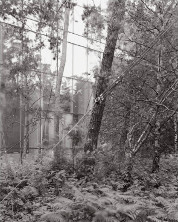 Wälder Panoramen, seit 2002