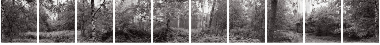 Wald in der Bibliothèque nationale de France, Paris, Frankreich, 2010 Wald in der Bibliothèque nationale de France, Paris, Frankreich, 2010