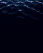 Stephan Schenk_navigatio vitae_4 Stephan Schenk_navigatio vitae_4