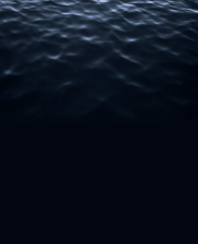 navigatio vitea, 2016